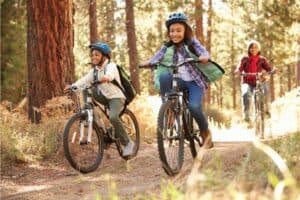 Read more about the article Steel vs. Aluminum Bike Frame: How Do They Compare?