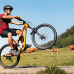 Best Mountain Bike for Wheelies: Top Picks in 2023